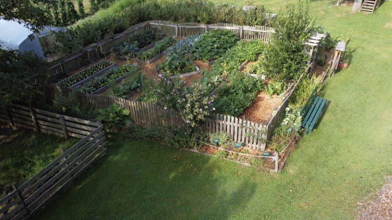 Domačija Kovačnik, zelenjavni vrt