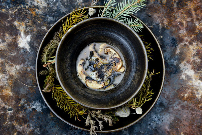 Vila Podvin, mushroom consomme