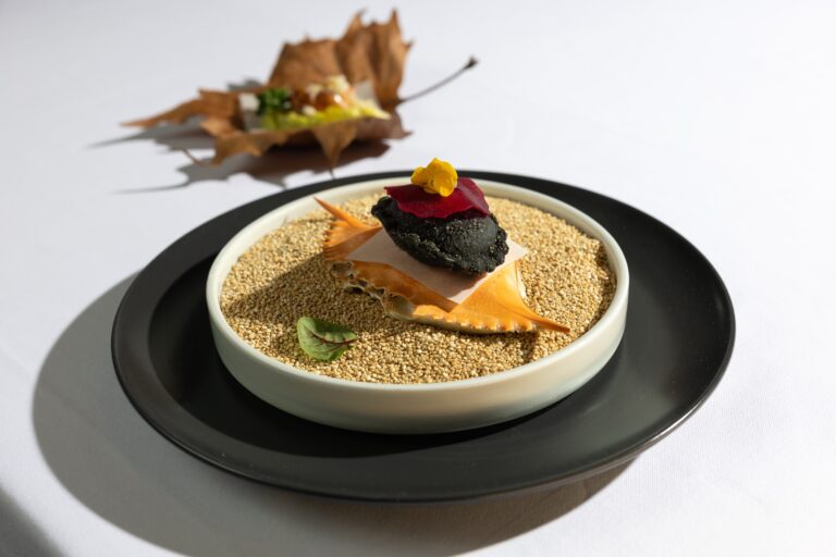 Vila Podvin, ravioli with crab