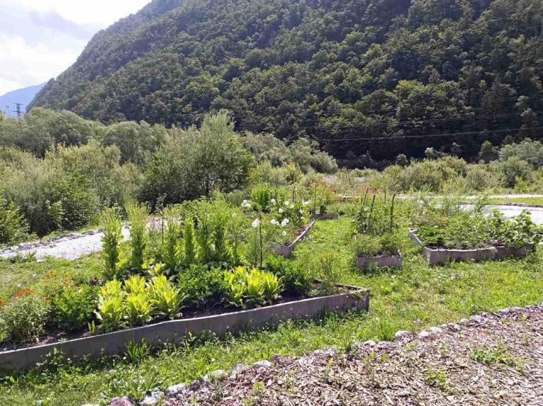 Vranješ Gourmet, zeliščni vrt