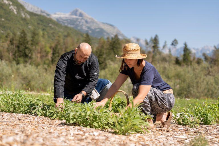 Vranješ Gourmet, zeliščni vrt